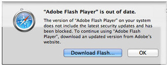 Safari now blocks all but latest version of Flash plugin | Creating Library Learning Commons | Scoop.it