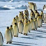 Lors d'une migration SEO, n'oubliez aucune URL pour vos redirections | Strat&eacute;gie m&eacute;dias innovants | Scoop.it