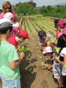 La ville qui nourrit ses enfants moins cher et bio | Vivre autrement | Scoop.it