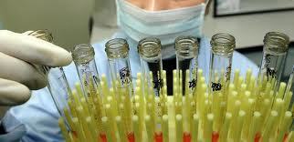 Stem cell breakthrough from Oregon! |Click the Title to View the Video from CNN | #ALSAWARENESS #PARKINSONS | Scoop.it