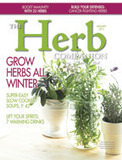 Cleaning with Herbs | Our Evolving Earth | Scoop.it