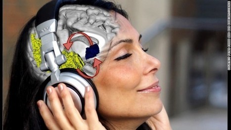 This is your brain on music | Curiosidades sobre la música | Scoop.it