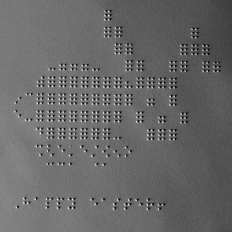 Braille Bunny