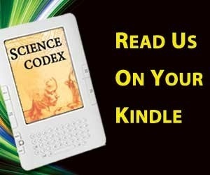 Obese patients face increased risk of kidney damage after heart surgery | Science Codex | Topics of my interest | Scoop.it