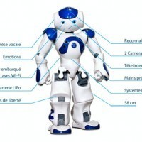 nao--lespoir-de-robots-domestiques-pour-aider-les-handicapes | a-la-une | LYonenFrance | Scoop.it