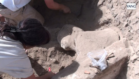 Des égyptologues catalans ont trouvé un sphinx et ce qui semble être un nilomètre | Égypte-actualités | Scoop.it