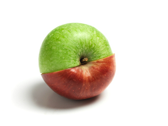 A Tale of Two MOOCs @ Coursera: Divided by Pedagogy | Learning Happens Everywhere! | Scoop.it