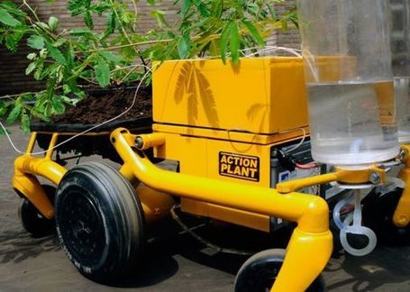 Robotics give &lsquo;touch me not' the ability to flee from its threat | The Robot Times | Scoop.it