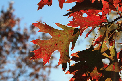6 Ways Social Media Marketing Is Changing (For the Better) | SM | Scoop.it