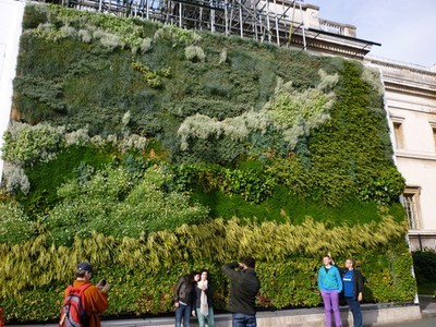 Vertical Green Wall in London is Flourishing After 4 Months 