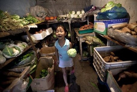 Food fight: the battle for justice from paddock to plate | "Environmental, Climate, Global warming, Oil, Trash, recycling, Green, Energy" | Scoop.it