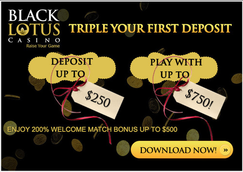 Lotus Gaming Online Casino