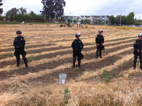 Sata poliisia ratsasi Occupy-farmin maanantaina | 15M Suomi | Scoop.it