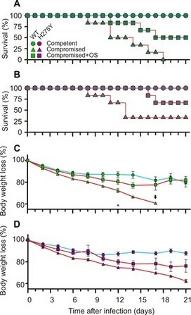 PLOS Pathogens: Prolonged Influenza Virus Shedding and Emergence of Antiviral Resistance in Immunocompromised Patients and Ferrets | Virology and Bioinformatics from Virology.ca | Scoop.it