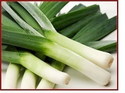 Health Benefits of Leeks And Nutrition Facts | Organic x Benefits | masseurG | Scoop.it