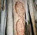 'The oldest work of art ever': 42,000-year-old paintings of seals found in Spanish cave | Logicamp | Scoop.it