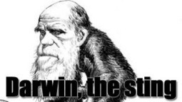 Why Not Make A Comedy About Charles Darwin The Charlatan | News From Stirring Trouble Internationally | Scoop.it