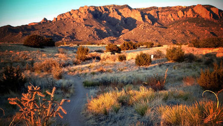 10 of the top U.S. cities for nature lovers | Sustainable Futures | Scoop.it