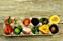 New York&rsquo;s &lsquo;Food Recycling&rsquo; Program Could Be The Future Of Waste And Energy | Sustain Our Earth | Scoop.it