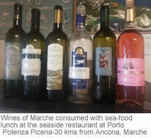 Verdicchio and other Wines of Le Marche | Wines and People | Scoop.it