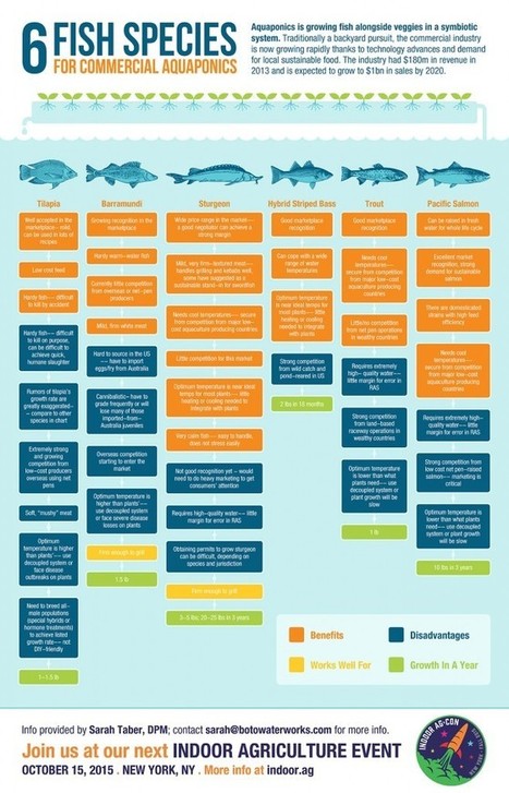  Aquaponics - Indoor Ag-Con | Vertical Farm - Food Factory | Scoop.it