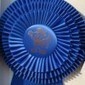 50 Questions To Determine Social Media Marketing Success | Business Wales - Socially Speaking | Scoop.it
