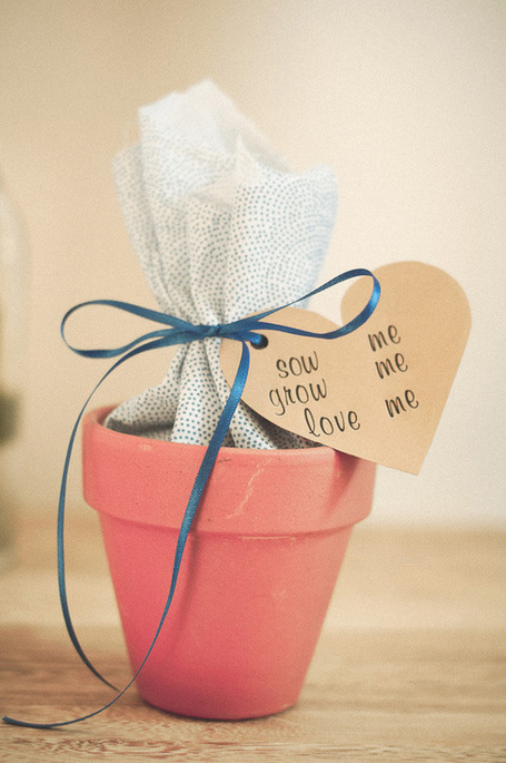 Un cadeau &agrave; planter | Mariages et babillages I Blog mariage | Eco friendly Wedding ideas | Scoop.it