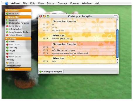 7 Google Talk Alternatives | formation 2.0 | Scoop.it