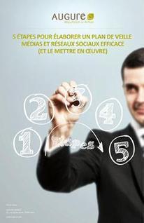 5 &eacute;tapes pour &eacute;laborer un plan de veille m&eacute;dias et r&eacute;seaux sociaux efficace | Du Bon Usage des R&eacute;seaux Sociaux | Scoop.it