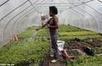 On Earth Day today, learn to share | Sharingproject | Scoop.it