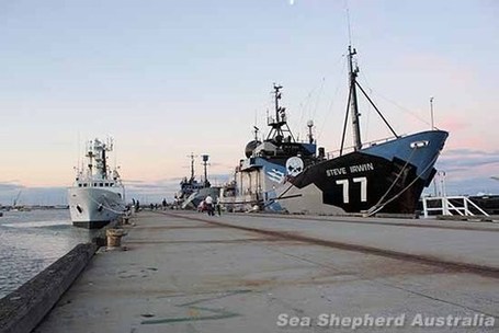 Sea Shepherd Australia :: Sea Shepherd launches Operation Relentless, its 10th Antarctic whale defence campaign | Making a difference in the World | Scoop.it