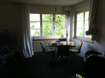 Beautiful 2 Bedroom Apt. Available from 1st July - Zurich Kreis 11 | switzerland | Scoop.it