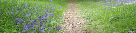 Au d&eacute;tour du chemin | ballades et geocatching | Rouen | Scoop.it
