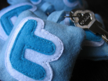 5 Tips om een Persoonlijk Leer Netwerk (PLN) op te zetten bij Twitter | Serial Twitter | Scoop.it