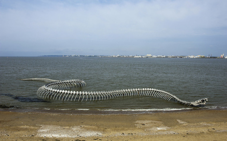 Installation art - Huang Yong Ping: Ocean Snake | Vulbus Incognita Magazine | Scoop.it