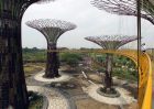 Singapore to unveil world&rsquo;s first &lsquo;mechanical forest&rsquo; | SmartPlanet | Science, Technology, Medecine and Society | Scoop.it