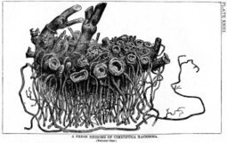 Apuntes de aprendizaje rizom&aacute;tico &ndash; Rhizomatic Learning | Fernando Santamar&iacute;a | Aprendizaje en Red | Scoop.it