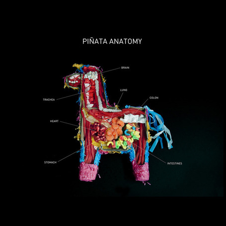 Pi&ntilde;ata Anatomy | This Is Awesome | Online games en fun voor kinderen | Scoop.it