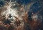 Voyage aux confins de la n&eacute;buleuse de la Tarentule | Echos de sciences | Scoop.it
