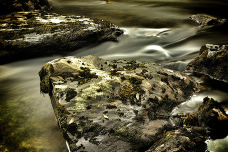 day to day | Steve Makin | Fuji X-Pro1 | Scoop.it