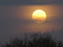 Most &ldquo;super&rdquo; supermoon of 2013 on June 22-23 | EarthSky.org | Science And Wonder | Scoop.it