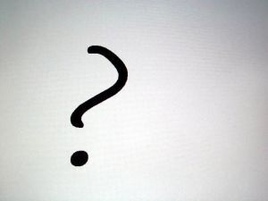 The Question | 21st C Learning | Scoop.it