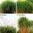 PlantBioInnovation