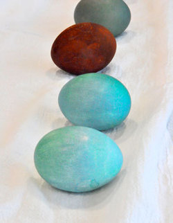 How to Make Natural Easter Egg Dye: Organic Gardening | Maverly Lands | Scoop.it