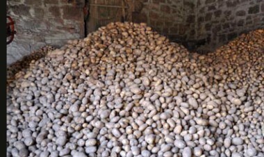 El Ayto. de Valderredible y la Cooperativa Valdevelilla donan 10 toneladas de patatas - Descubre Valderredible - el valle en movimiento | CAMPING VALDERREDIBLE. | Scoop.it