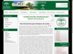 Revista e-CO: n&uacute;mero extraordinario sobre la formaci&oacute;n del&nbsp;profesorado Ana Basterra | FormandonosNTIC | Scoop.it