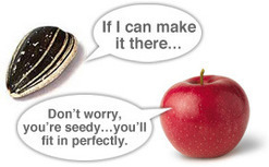 Ai Weiwei's Sunflower Seeds Opens Sat in NY | Sunflowers | Scoop.it