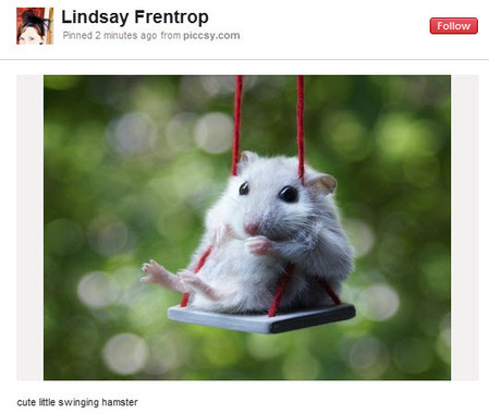 30 Resources, Tips and Tricks for Marketing Your Business on Pinterest | Jeffbullas's Blog | Technology , SEO and Social Media | Scoop.it