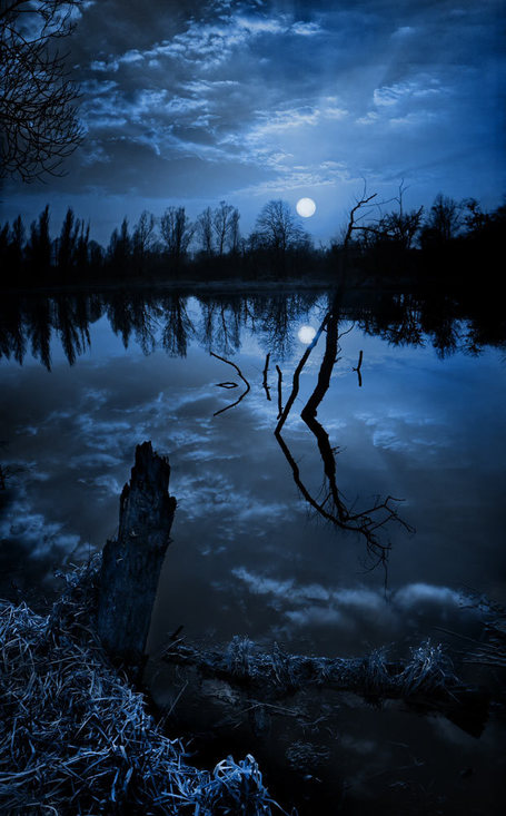 Wolf moon..... | Inspired By Design | Scoop.it
