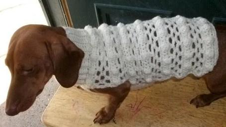 Crochet Patterns For Dachshund Puppies - Online Crochet Instruction